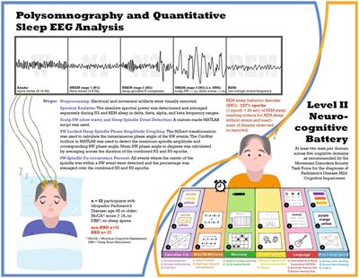 Quantitative sleep electroencephalogram and cognitive performance in Parkinson’s disease with and without rapid eye movement sleep behavior disorder
